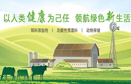 合正美实业企业官网案例