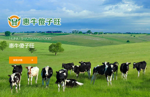 赤峰惠牛傻子旺食品有限公司